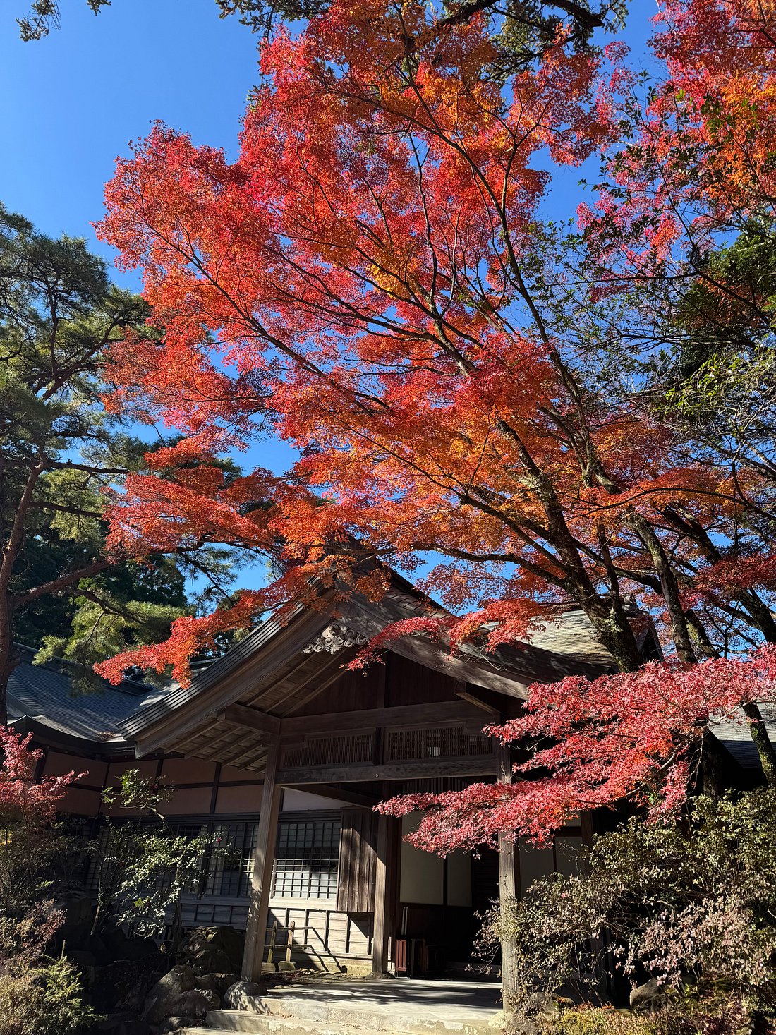 caption (10)