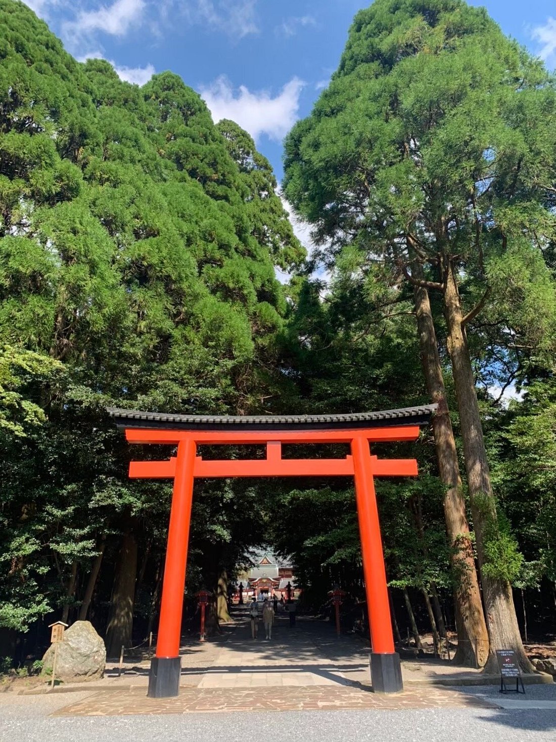 caption (12)