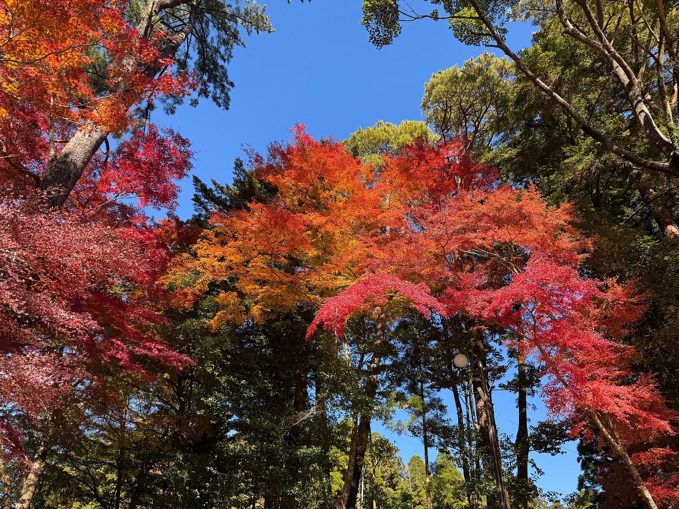 caption (14)