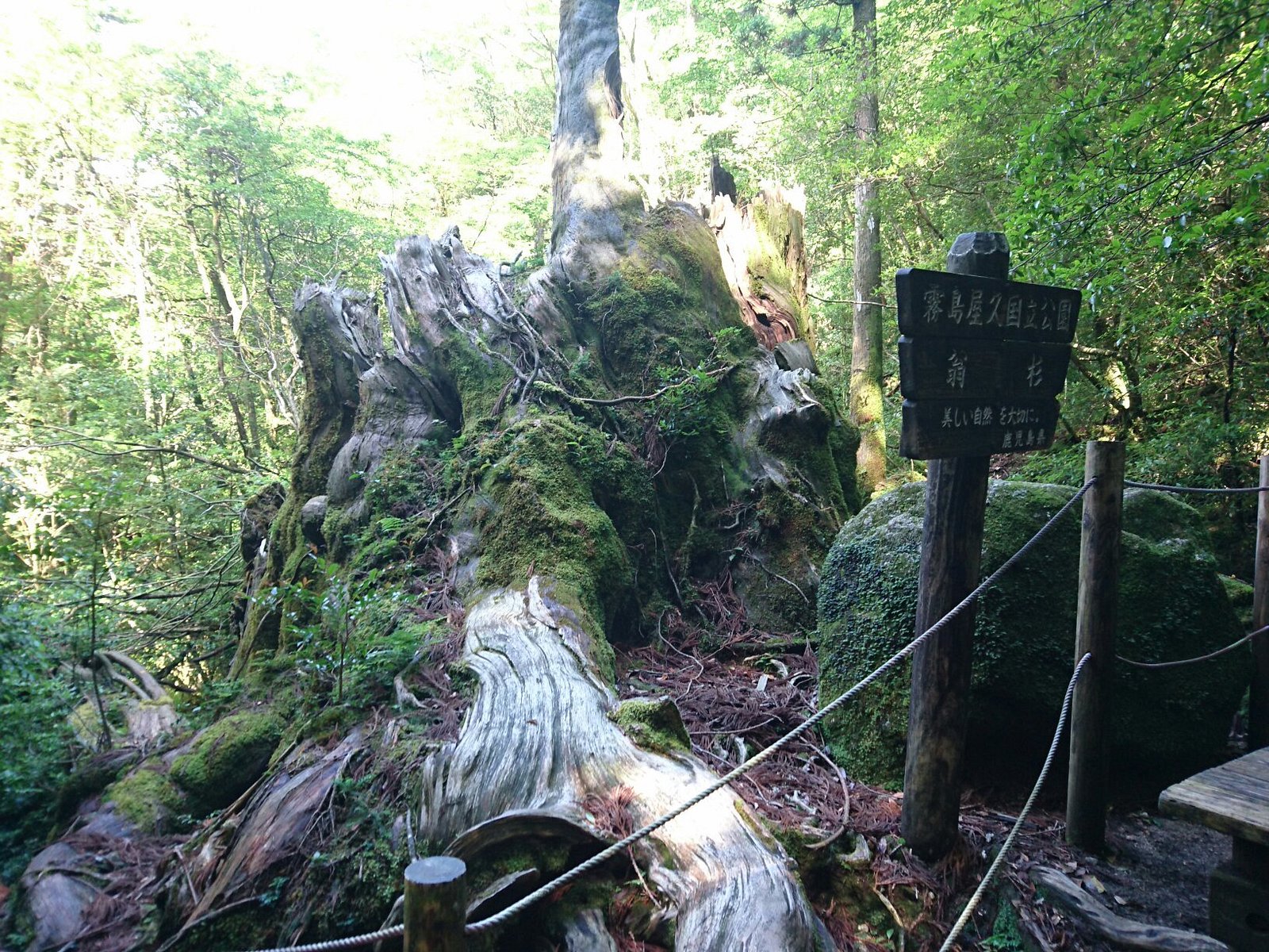 dsc-3289-largejpg