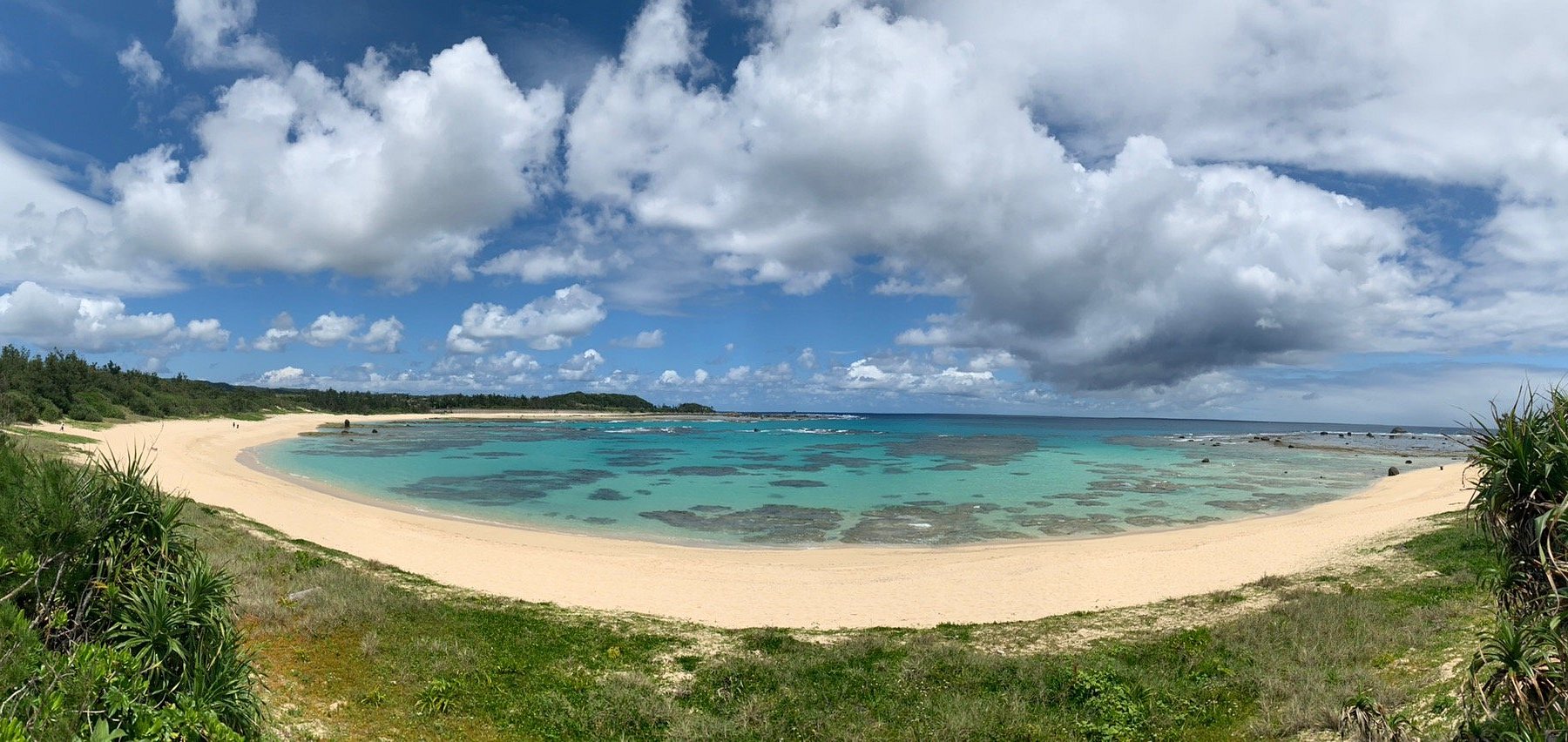奄美大島