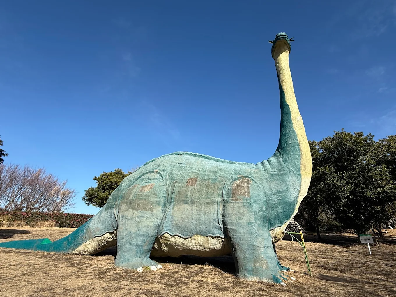 unnamed - 2025-06-16T164847.300