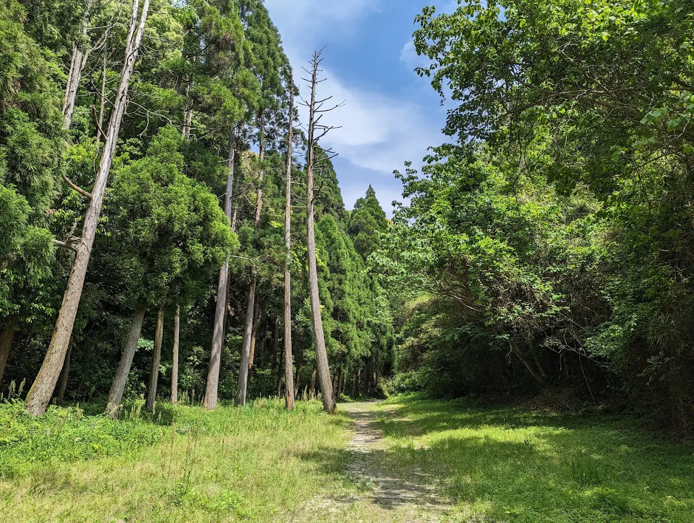 unnamed - 2025-06-17T115926.749