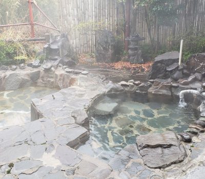 20190131-123317-largejpg