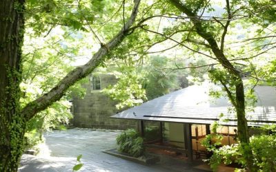 妙見石原荘：深い緑と温泉水に包まれた静かな宿泊体験