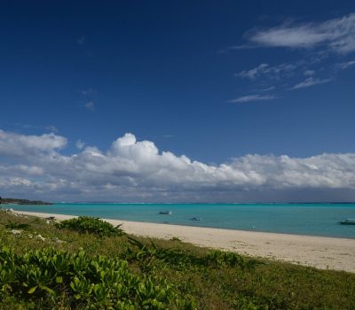 caption - 2025-06-12T152711.310